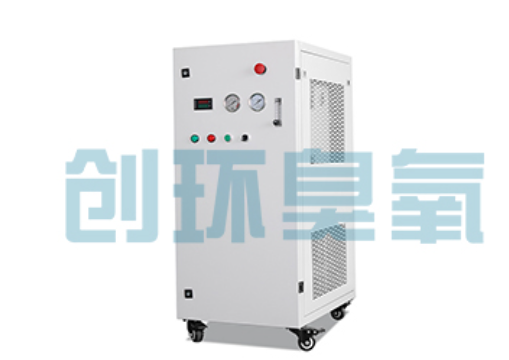 青浦石斑鱼养殖水质调控完整指南：臭氧发生器配置与操作步骤